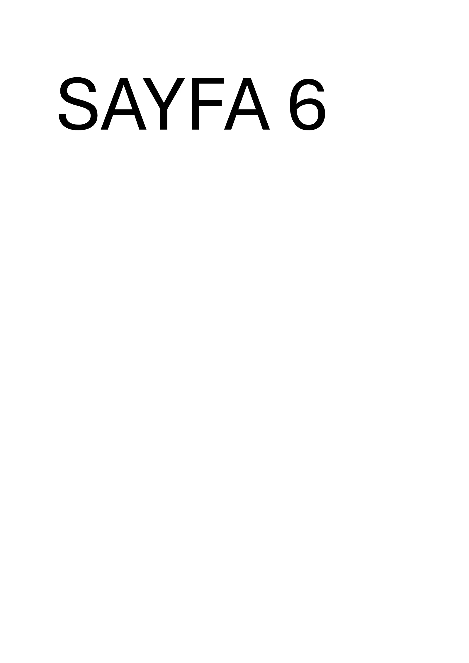 PDF sayfa 6